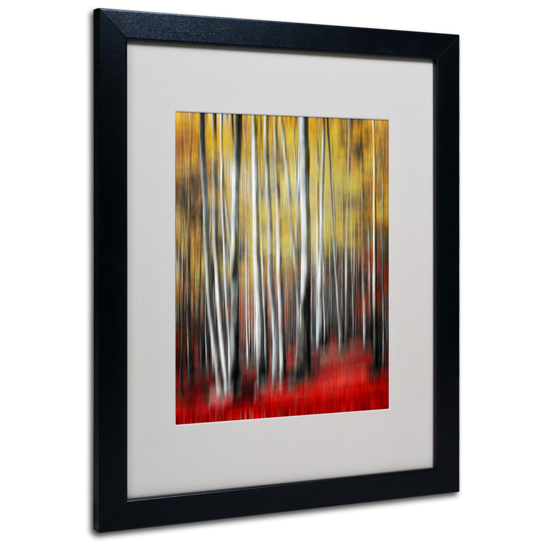 Philippe Sainte-Laudy Osmosis Black Wooden Framed Art 18 x 22 Inches Image 1