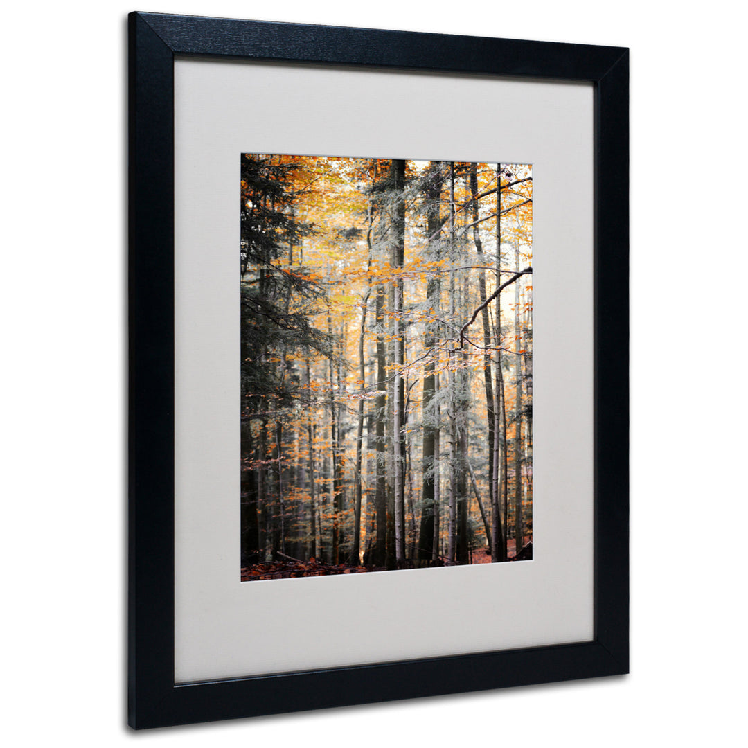 Philippe Sainte-Laudy Autumn Tones Black Wooden Framed Art 18 x 22 Inches Image 1