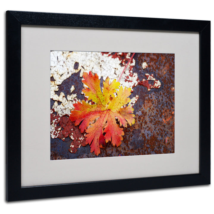 Philippe Sainte-Laudy Autumn Rust Black Wooden Framed Art 18 x 22 Inches Image 1