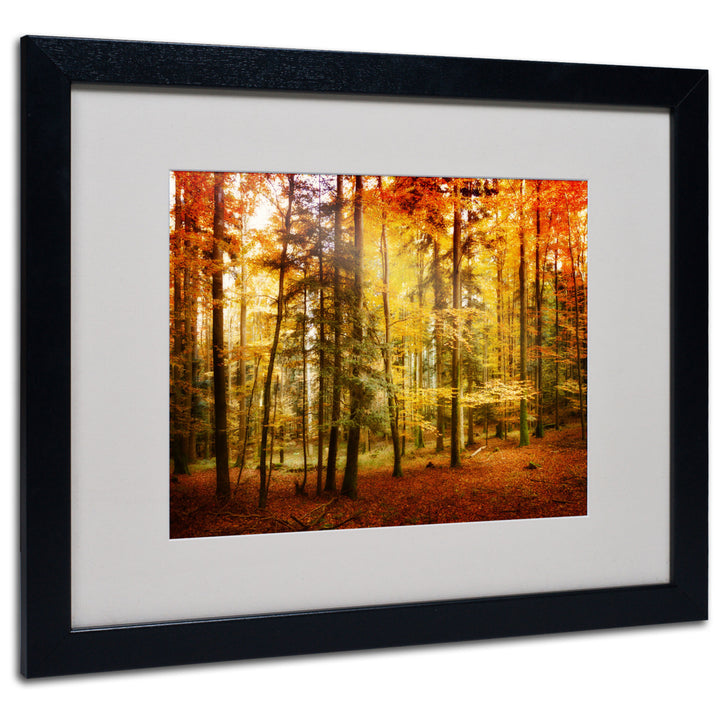 Philippe Sainte-Laudy Fall Color Black Wooden Framed Art 18 x 22 Inches Image 1