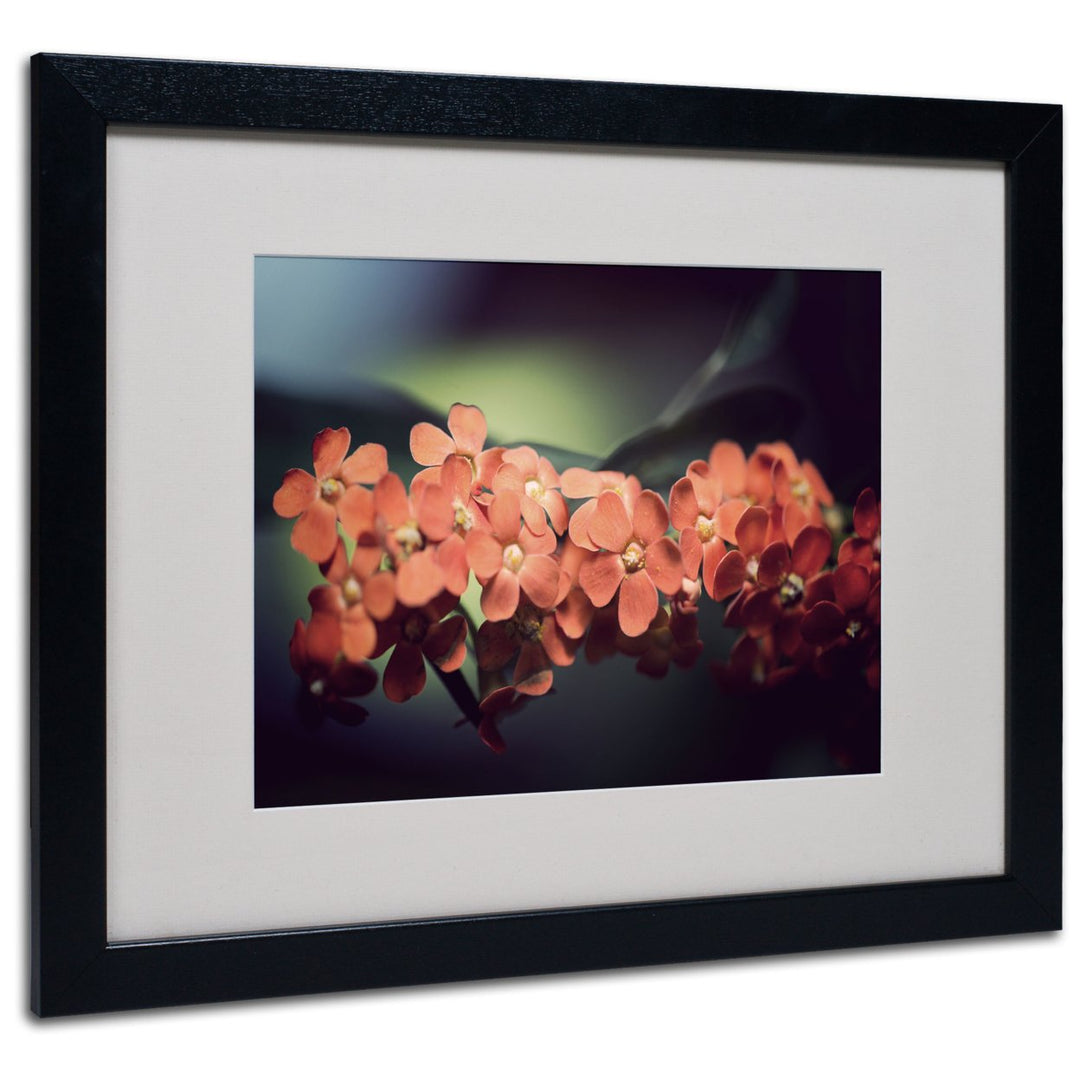 Philippe Sainte-Laudy Flowers Waiting Black Wooden Framed Art 18 x 22 Inches Image 1