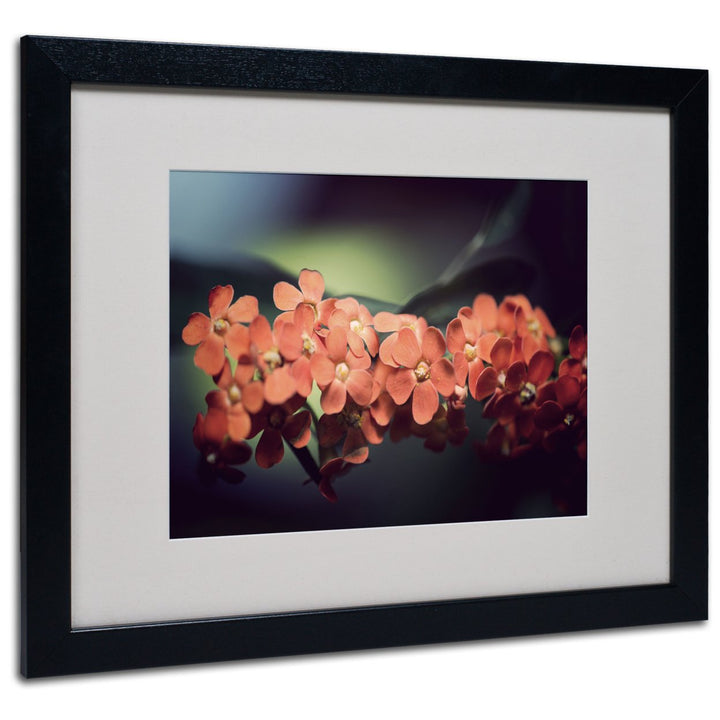 Philippe Sainte-Laudy Flowers Waiting Black Wooden Framed Art 18 x 22 Inches Image 1