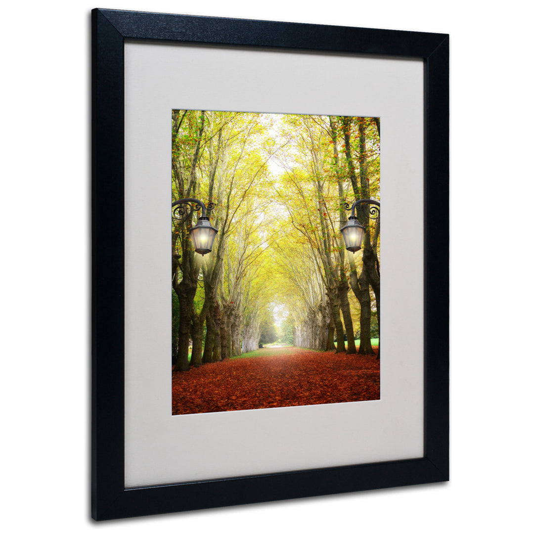 Philippe Sainte-Laudy Plane Tree Alley Black Wooden Framed Art 18 x 22 Inches Image 1