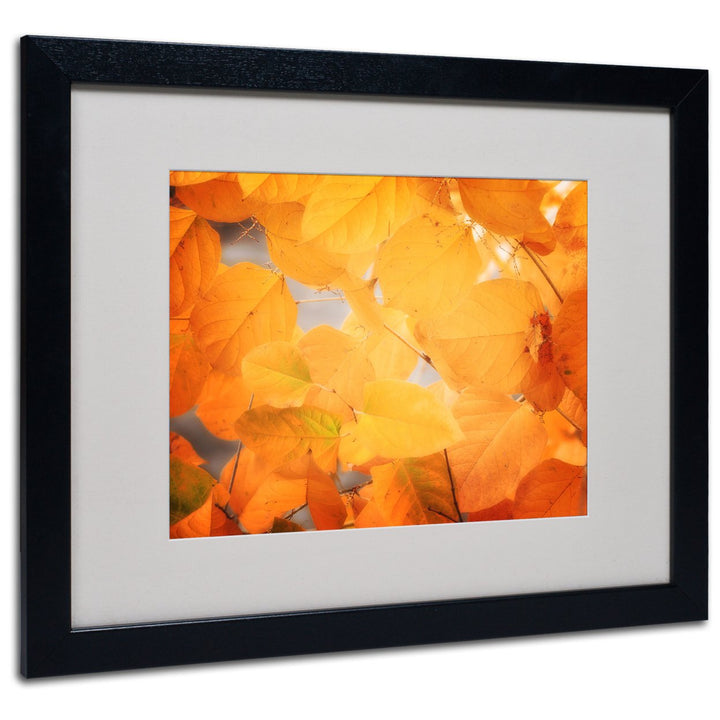 Philippe Sainte-Laudy Seasonal Leaves Black Wooden Framed Art 18 x 22 Inches Image 1