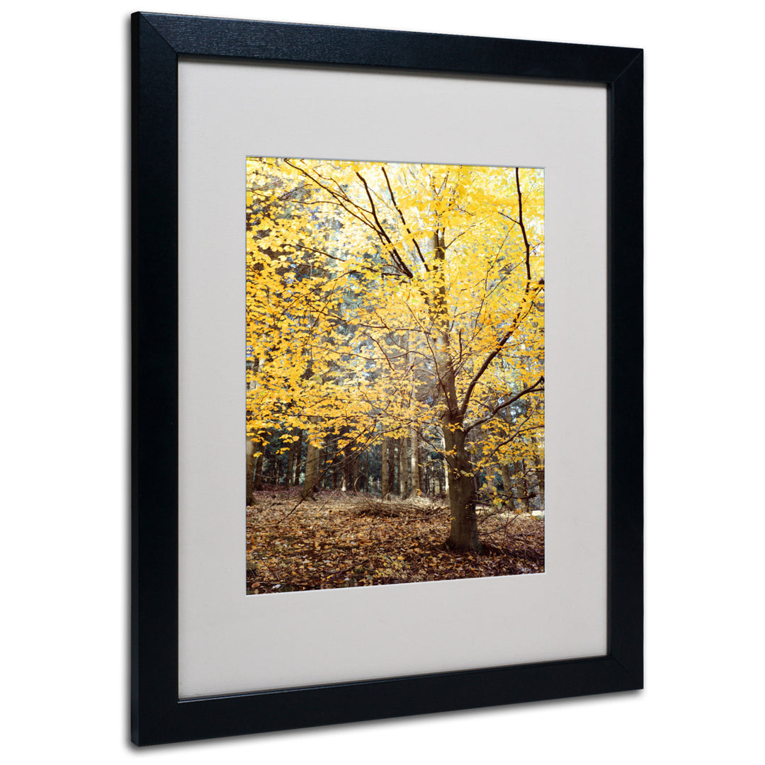 Philippe Sainte-Laudy Yellow Fall Black Wooden Framed Art 18 x 22 Inches Image 1