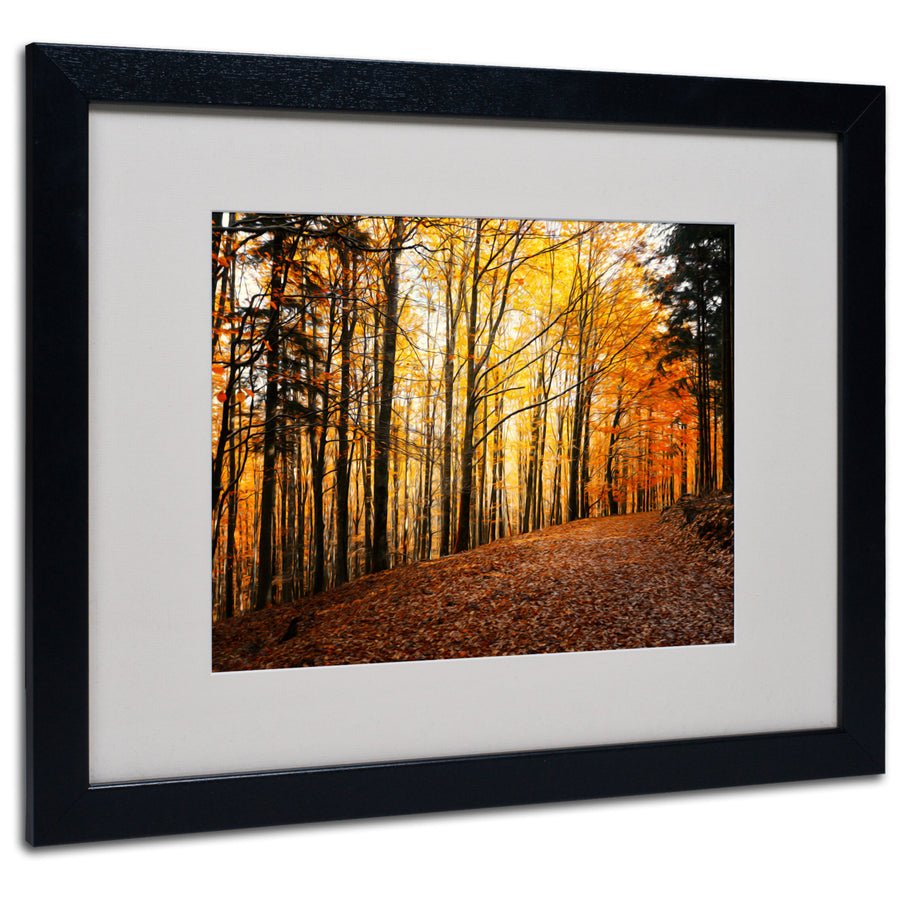 Philippe Sainte-Laudy Autumn Leaves Black Wooden Framed Art 18 x 22 Inches Image 1