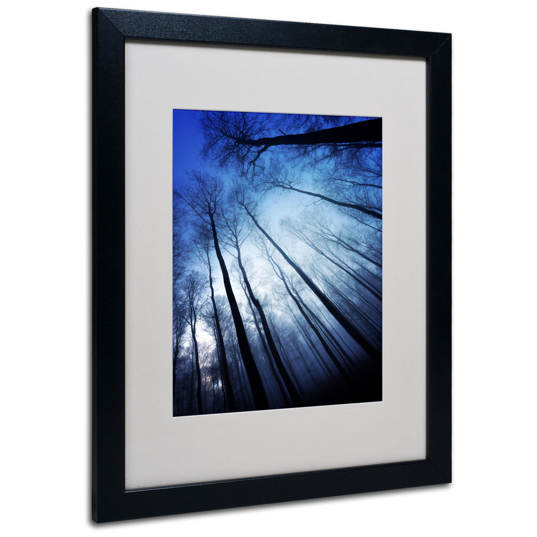 Philippe Sainte-Laudy Blue Forest Black Wooden Framed Art 18 x 22 Inches Image 1