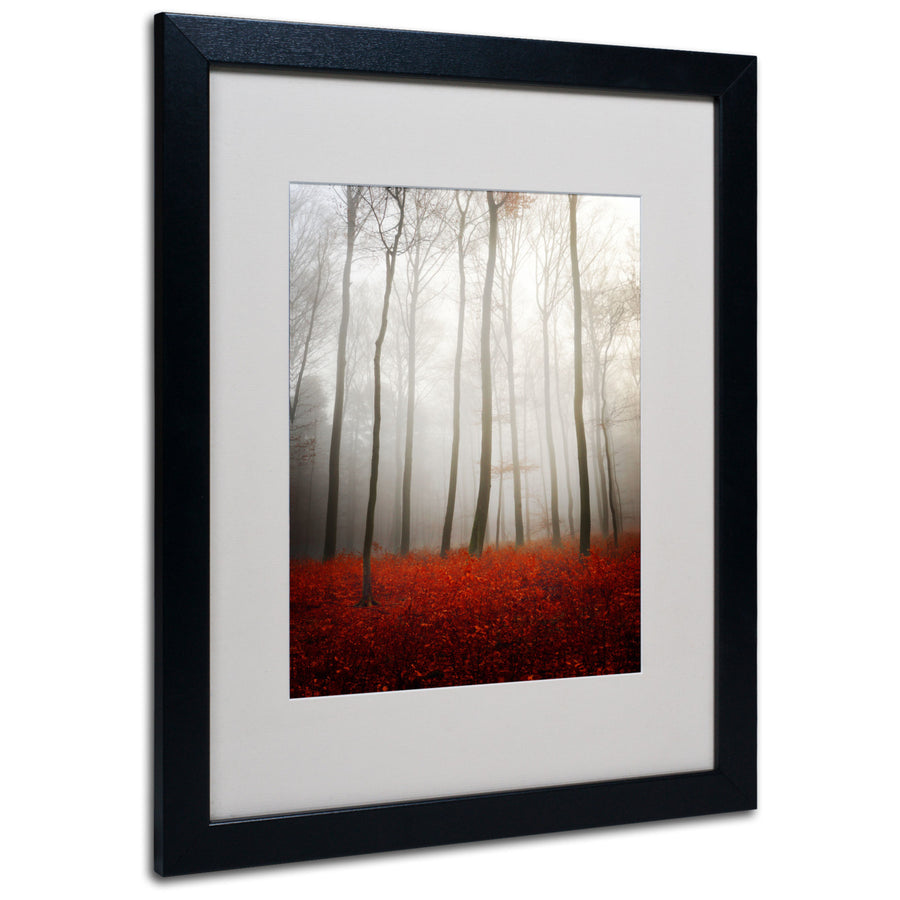 Philippe Sainte-Laudy Leafless Black Wooden Framed Art 18 x 22 Inches Image 1