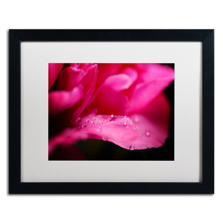 Philippe Sainte-Laudy Peony Drops Black Wooden Framed Art 18 x 22 Inches Image 1