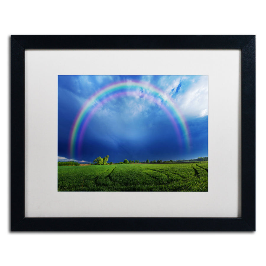 Philippe Sainte-Laudy Lucky Rainbow Black Wooden Framed Art 18 x 22 Inches Image 1