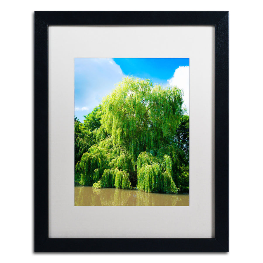 Philippe Sainte-Laudy Weeping Willow Black Wooden Framed Art 18 x 22 Inches Image 1