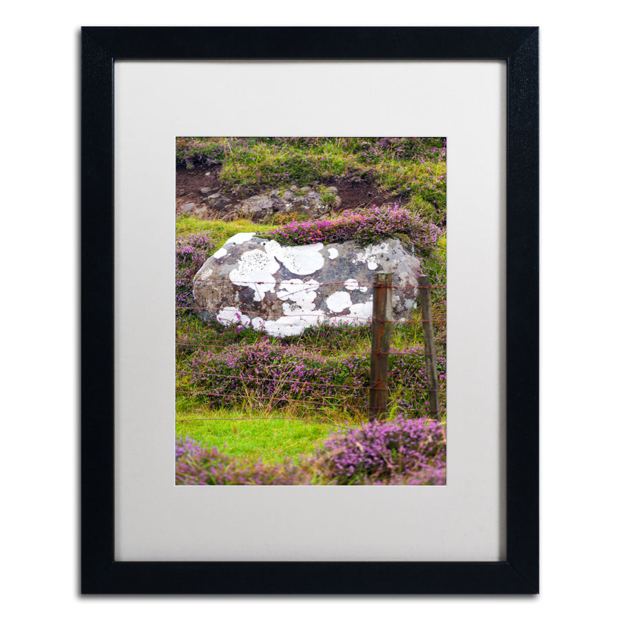 Philippe Sainte-Laudy Purple Still Black Wooden Framed Art 18 x 22 Inches Image 1