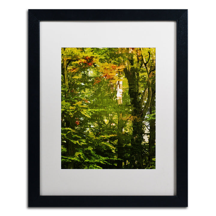 Philippe Sainte-Laudy Last Season Green Black Wooden Framed Art 18 x 22 Inches Image 1