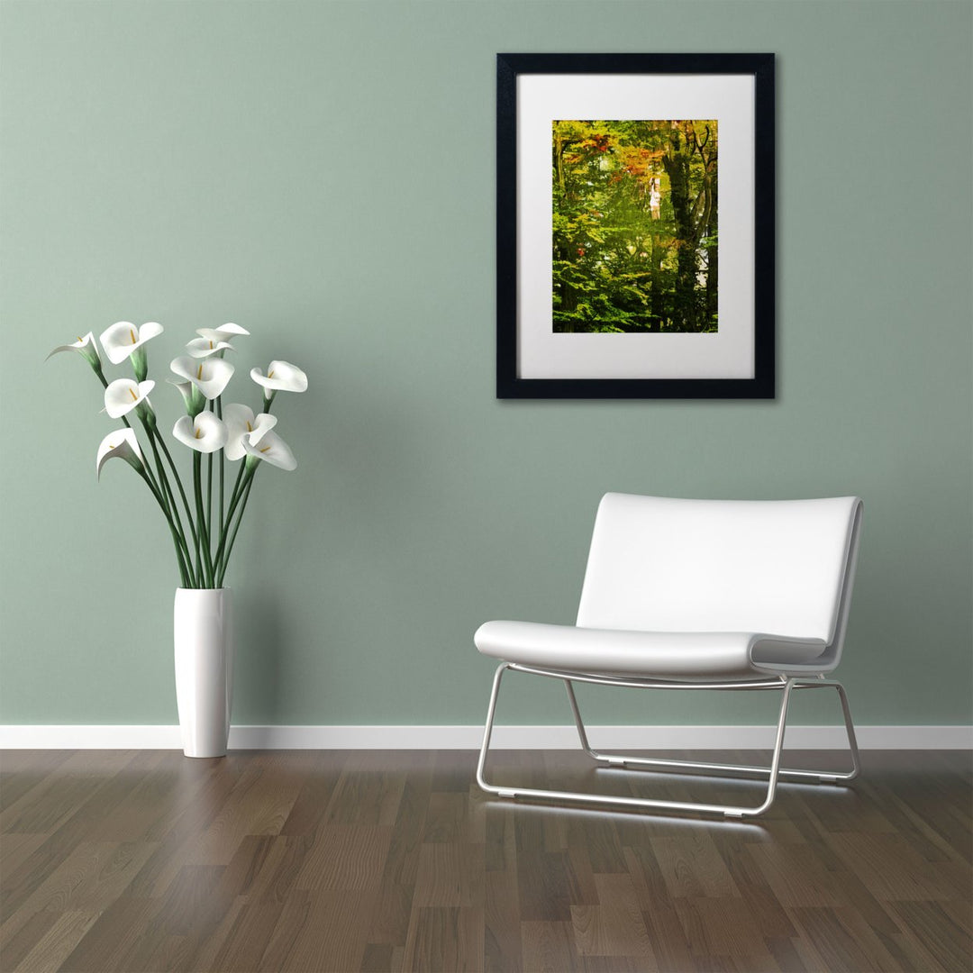 Philippe Sainte-Laudy Last Season Green Black Wooden Framed Art 18 x 22 Inches Image 2