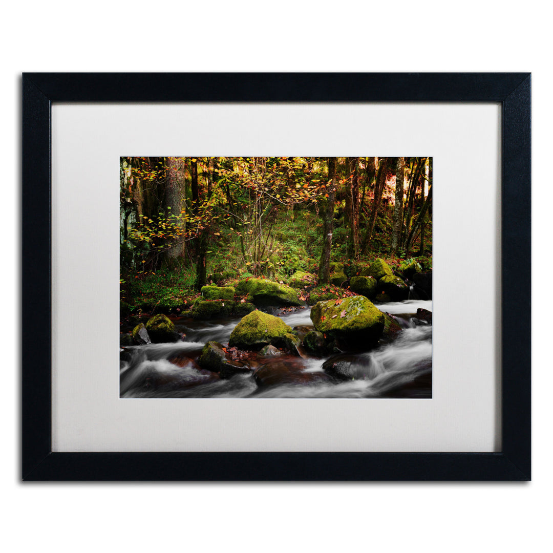 Philippe Sainte-Laudy Eaux Vives in Gerardmer Black Wooden Framed Art 18 x 22 Inches Image 1
