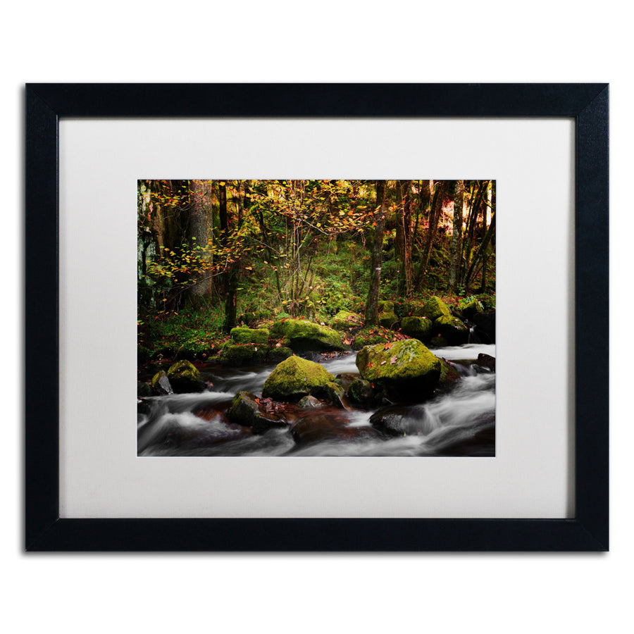 Philippe Sainte-Laudy Eaux Vives in Gerardmer Black Wooden Framed Art 18 x 22 Inches Image 1