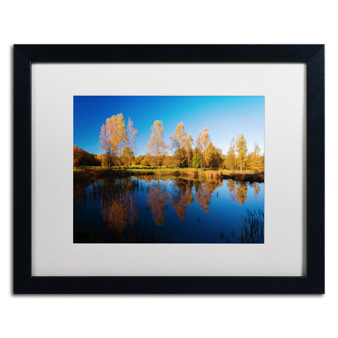 Philippe Sainte-Laudy Colors of October Black Wooden Framed Art 18 x 22 Inches Image 1