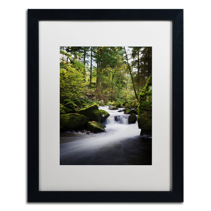 Philippe Sainte-Laudy Waterfall in the Forest Black Wooden Framed Art 18 x 22 Inches Image 1