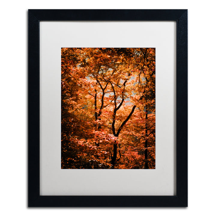 Philippe Sainte-Laudy Autumn Whispers Black Wooden Framed Art 18 x 22 Inches Image 1
