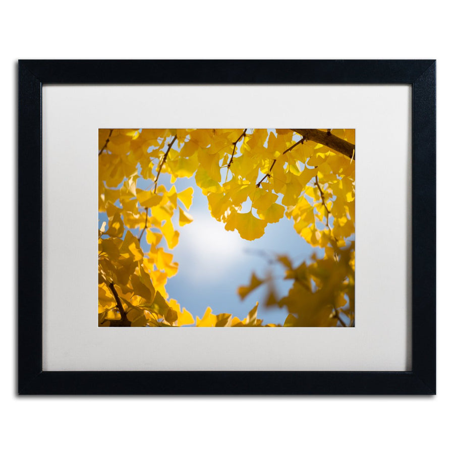 Philippe Sainte-Laudy Ginkgo Leaves in Autumn Black Wooden Framed Art 18 x 22 Inches Image 1