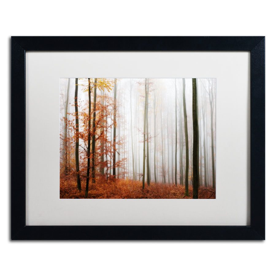 Philippe Sainte-Laudy Forest Corner Black Wooden Framed Art 18 x 22 Inches Image 1