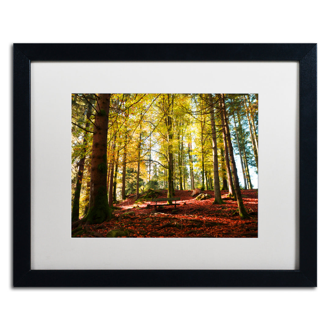 Philippe Sainte-Laudy The Autumn Bench Black Wooden Framed Art 18 x 22 Inches Image 1