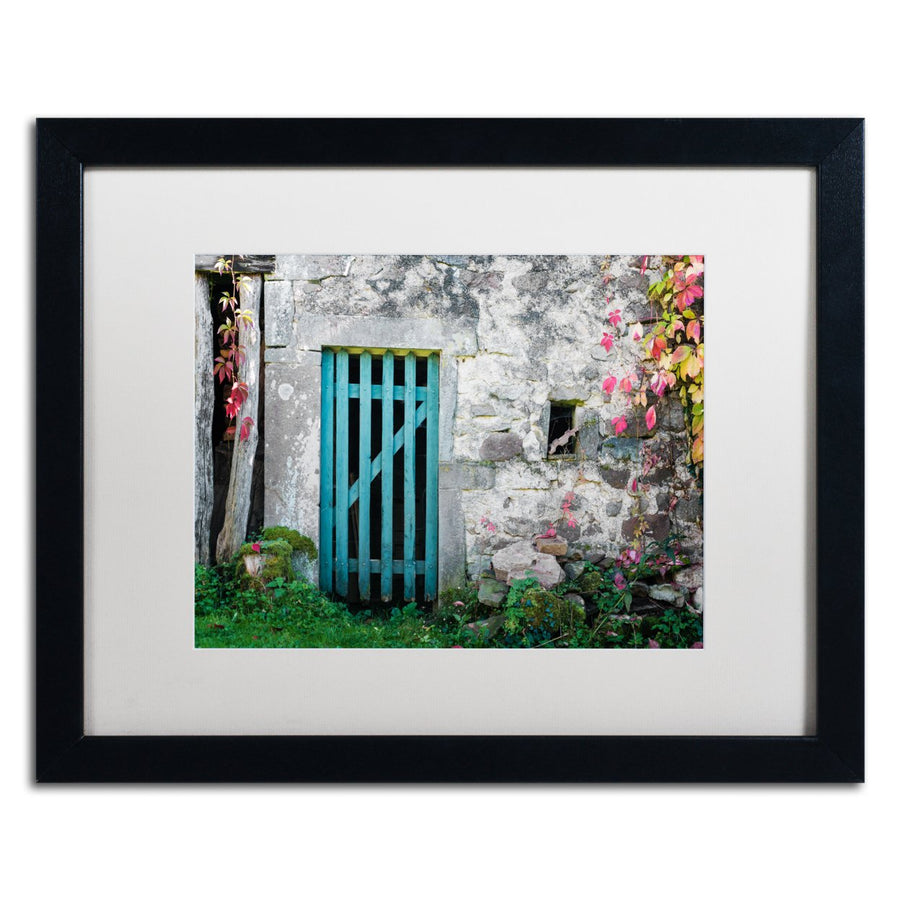 Philippe Sainte-Laudy The Old Wooden Door Black Wooden Framed Art 18 x 22 Inches Image 1