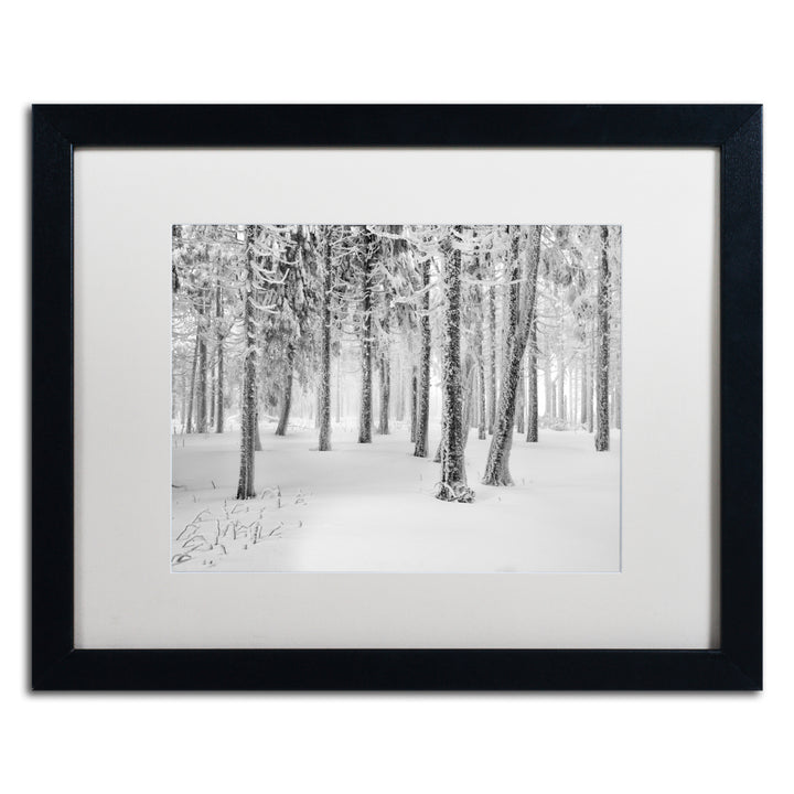 Philippe Sainte-Laudy Frozen World Black Wooden Framed Art 18 x 22 Inches Image 1