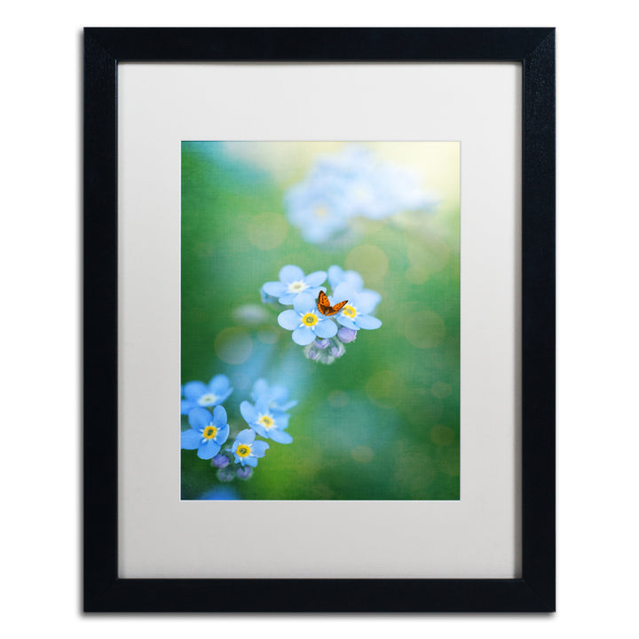 Philippe Sainte-Laudy Forget-Me-Not Black Wooden Framed Art 18 x 22 Inches Image 1