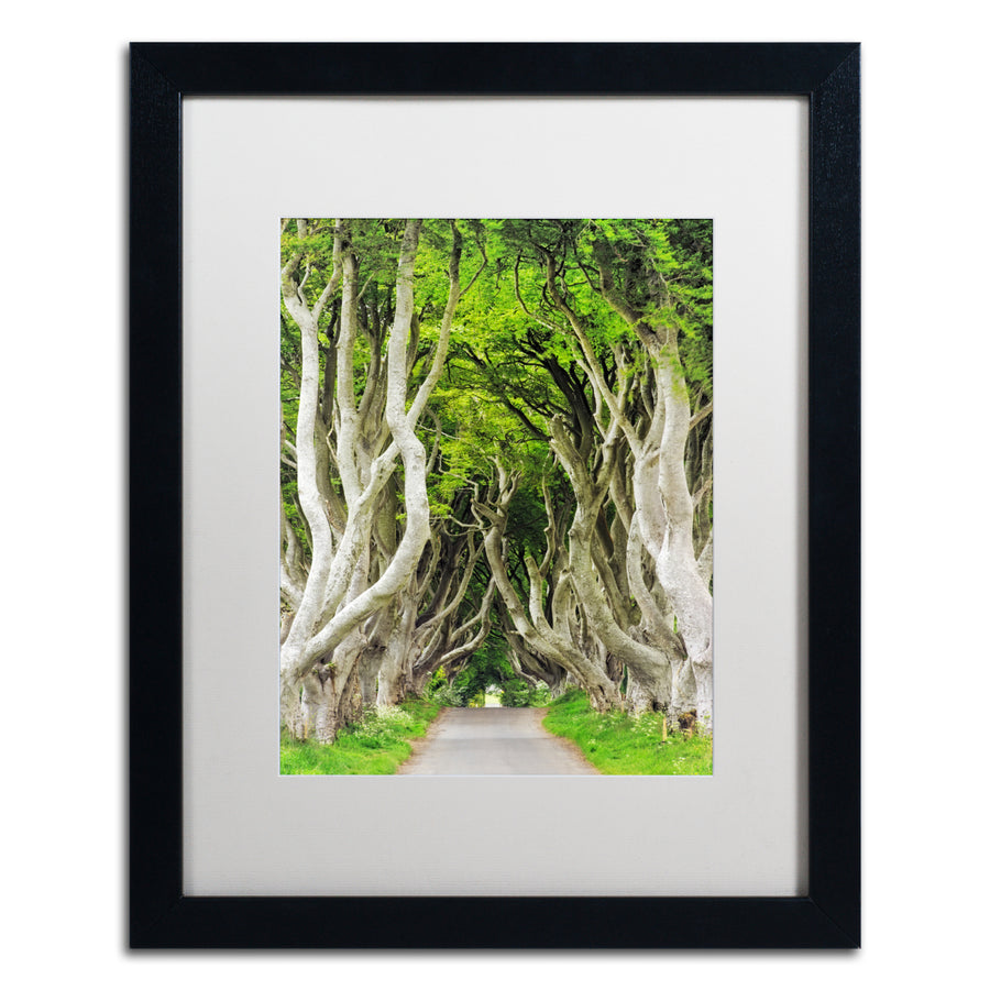 Philippe Sainte-Laudy The Dark Hedges Black Wooden Framed Art 18 x 22 Inches Image 1