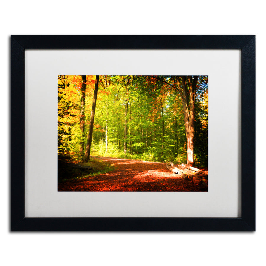 Philippe Sainte-Laudy Breaking The Fall Silence Black Wooden Framed Art 18 x 22 Inches Image 1