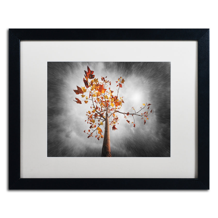 Philippe Sainte-Laudy Autumn Rain Black Wooden Framed Art 18 x 22 Inches Image 1