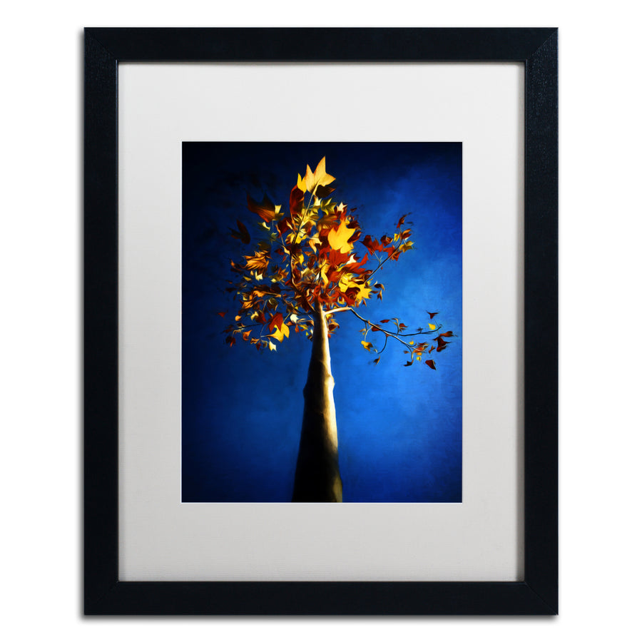Philippe Sainte-Laudy Blue Autumn Black Wooden Framed Art 18 x 22 Inches Image 1
