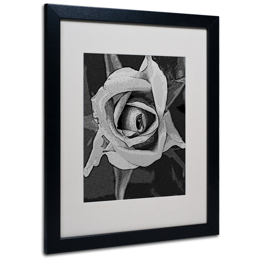 Patty Tuggle Black and White Rose Black Wooden Framed Art 18 x 22 Inches Image 1