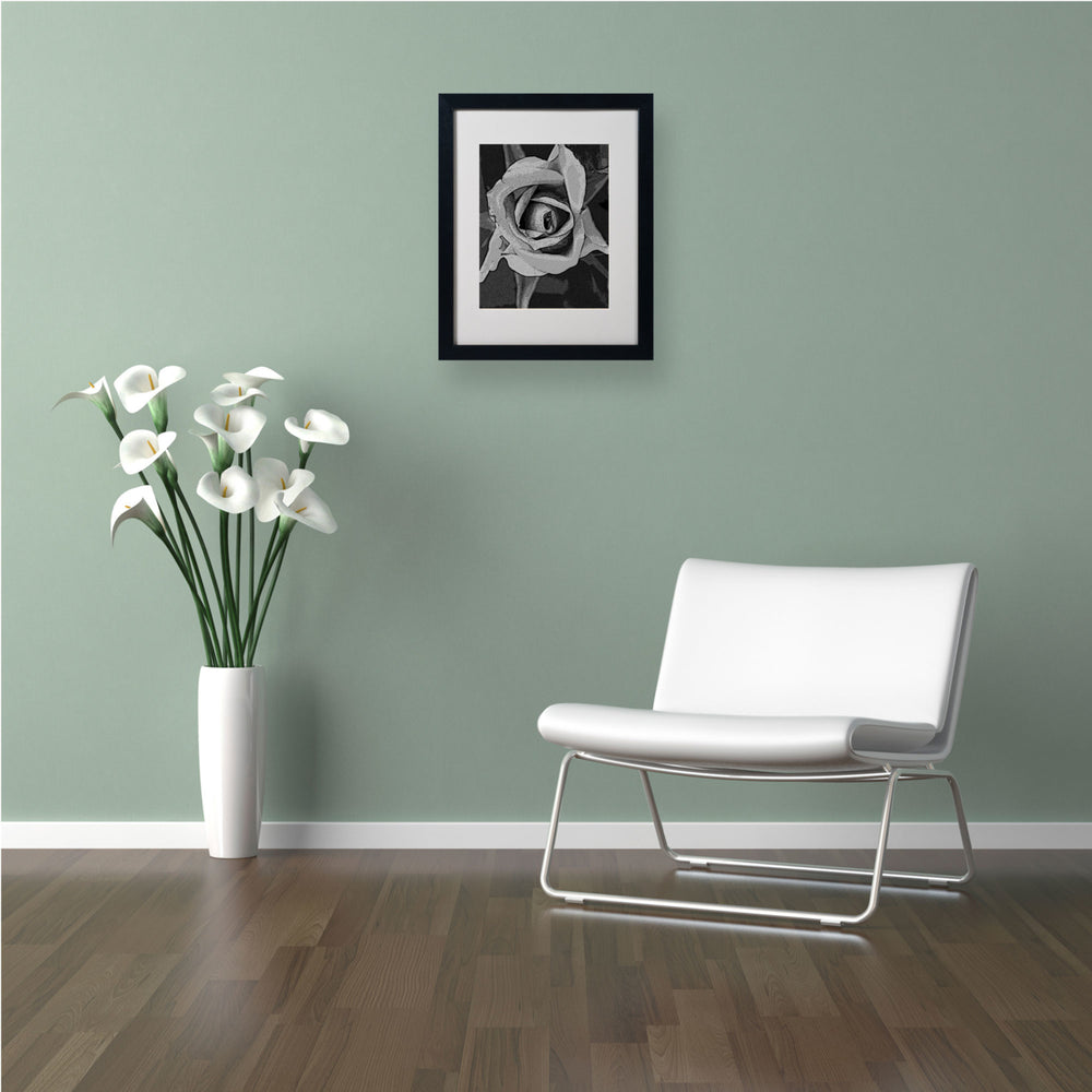 Patty Tuggle Black and White Rose Black Wooden Framed Art 18 x 22 Inches Image 2