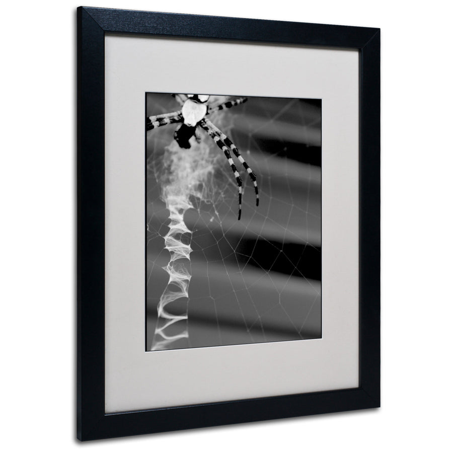 Patty Tuggle Black and White Spider and Web Black Wooden Framed Art 18 x 22 Inches Image 1