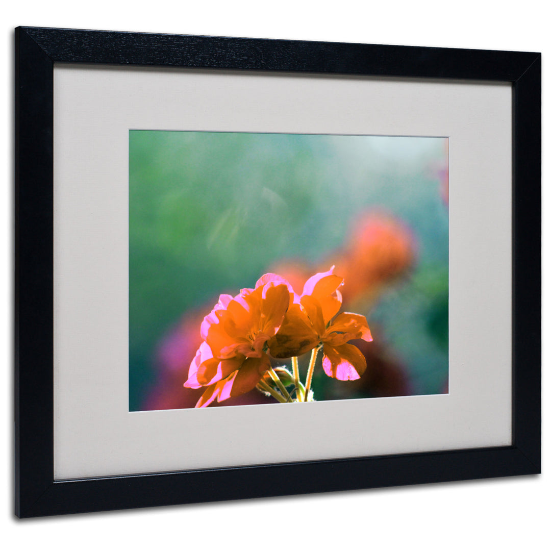 Patty Tuggle Flowers and Sun Black Wooden Framed Art 18 x 22 Inches Image 1