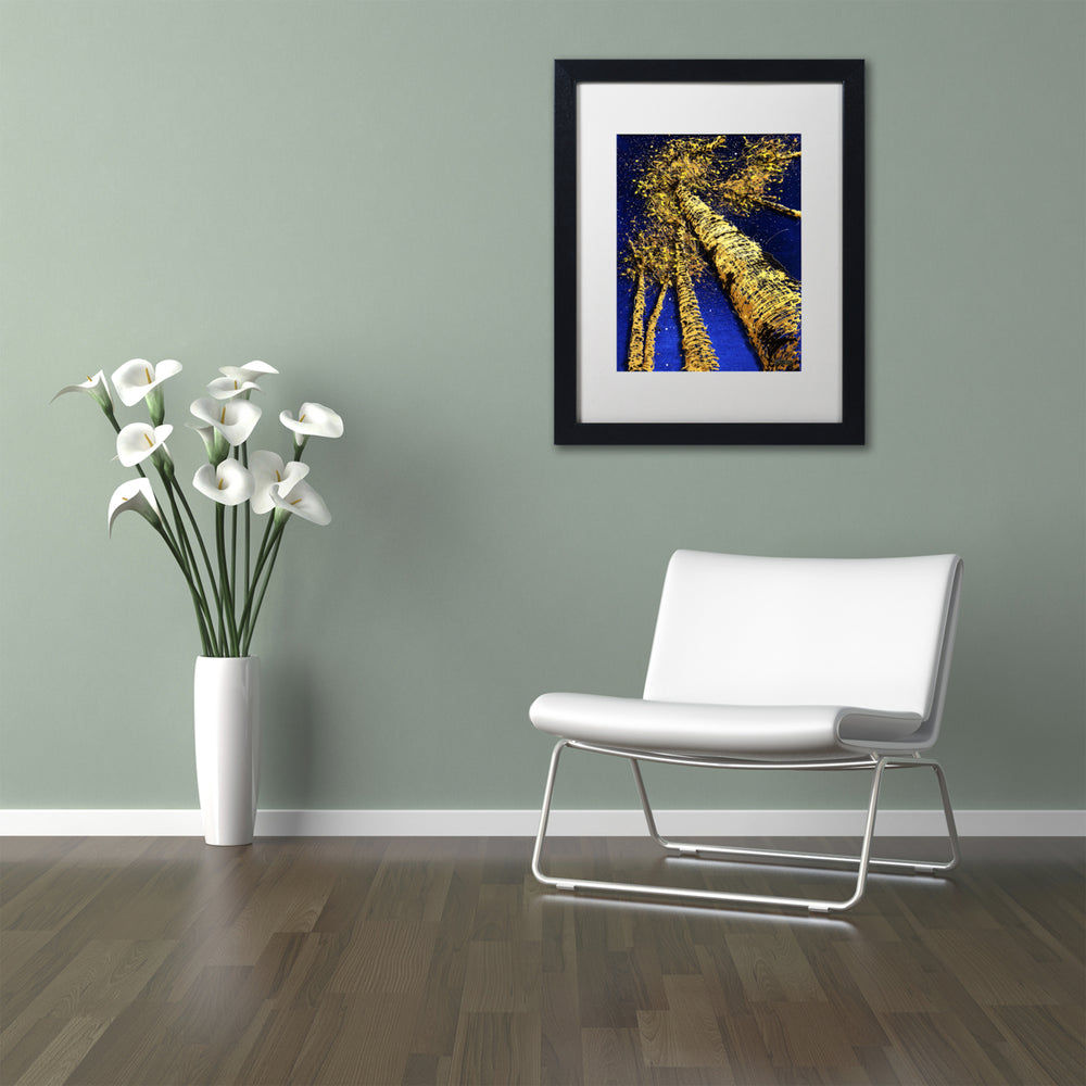 Roderick Stevens Aspen Sky 2 Black Wooden Framed Art 18 x 22 Inches Image 2