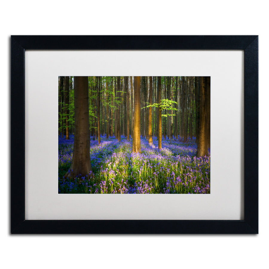 Mathieu Rivrin Mystical Forest Black Wooden Framed Art 18 x 22 Inches Image 1