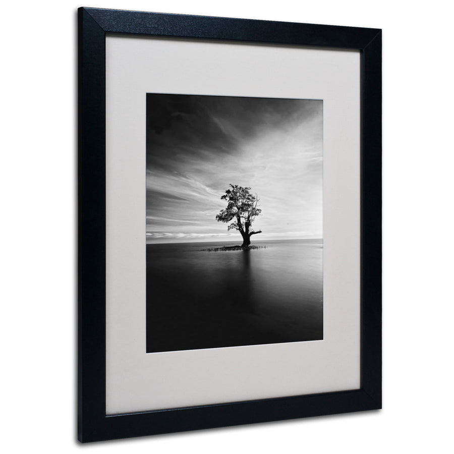 Michael de Guzman Light Catcher Black Wooden Framed Art 18 x 22 Inches Image 1