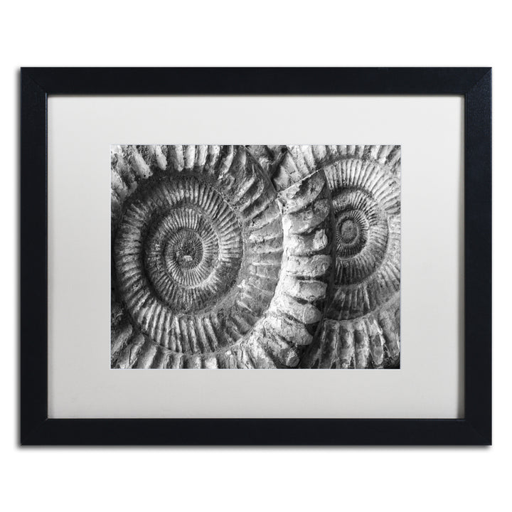 Moises Levy Amonita 3 Black Wooden Framed Art 18 x 22 Inches Image 1