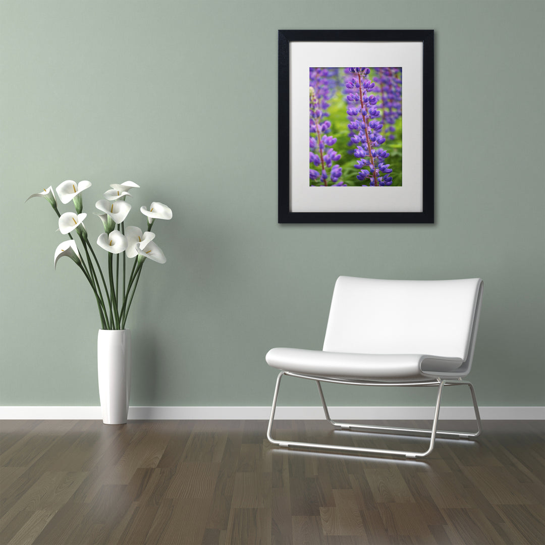Cora Niele Blue Violet Lupine Flower Black Wooden Framed Art 18 x 22 Inches Image 2