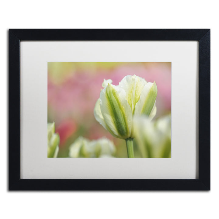 Cora Niele White and Green Tulip Black Wooden Framed Art 18 x 22 Inches Image 1