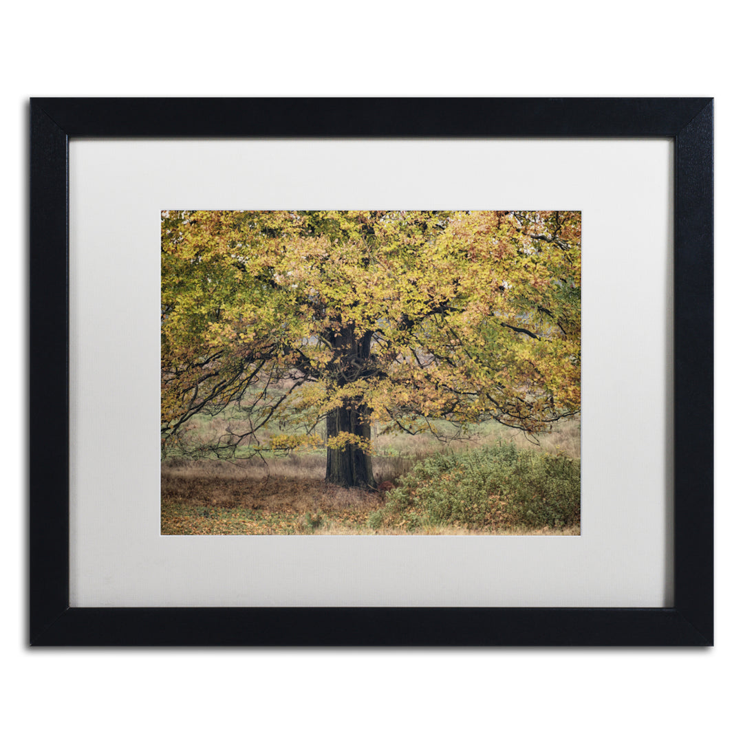 Cora Niele Beech Tree Black Wooden Framed Art 18 x 22 Inches Image 1