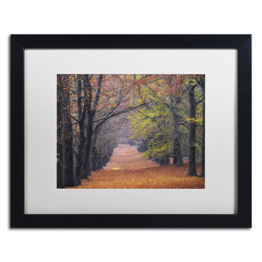 Cora Niele Beech Lane Black Wooden Framed Art 18 x 22 Inches Image 1