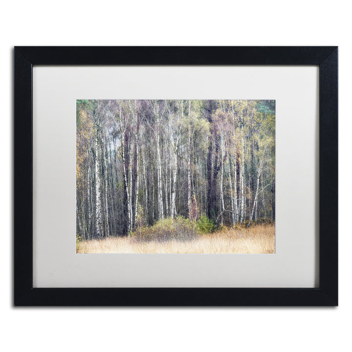 Cora Niele Birches Black Wooden Framed Art 18 x 22 Inches Image 1