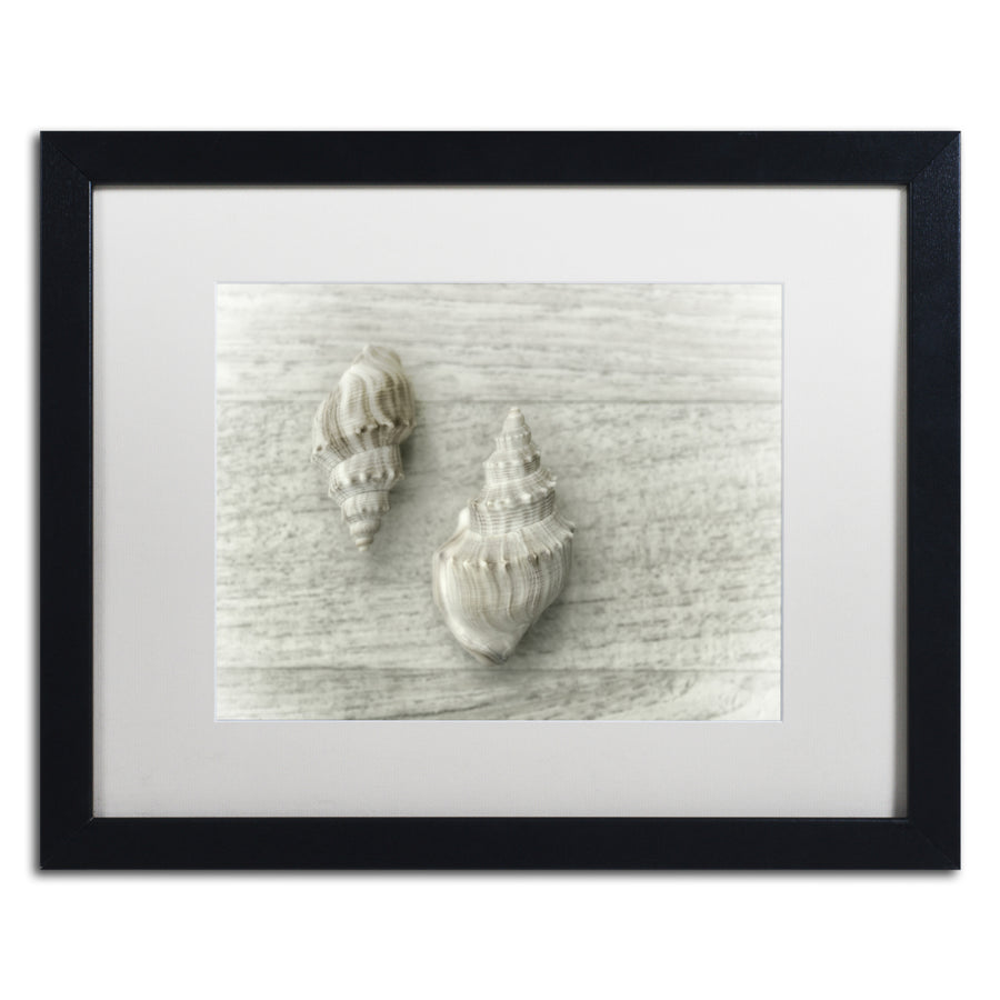 Cora Niele Two Cancellaria Shells Black Wooden Framed Art 18 x 22 Inches Image 1