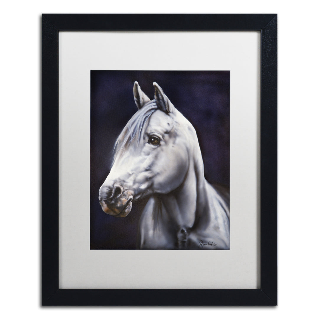 Jenny Newland White Arabian Stallion Black Wooden Framed Art 18 x 22 Inches Image 1