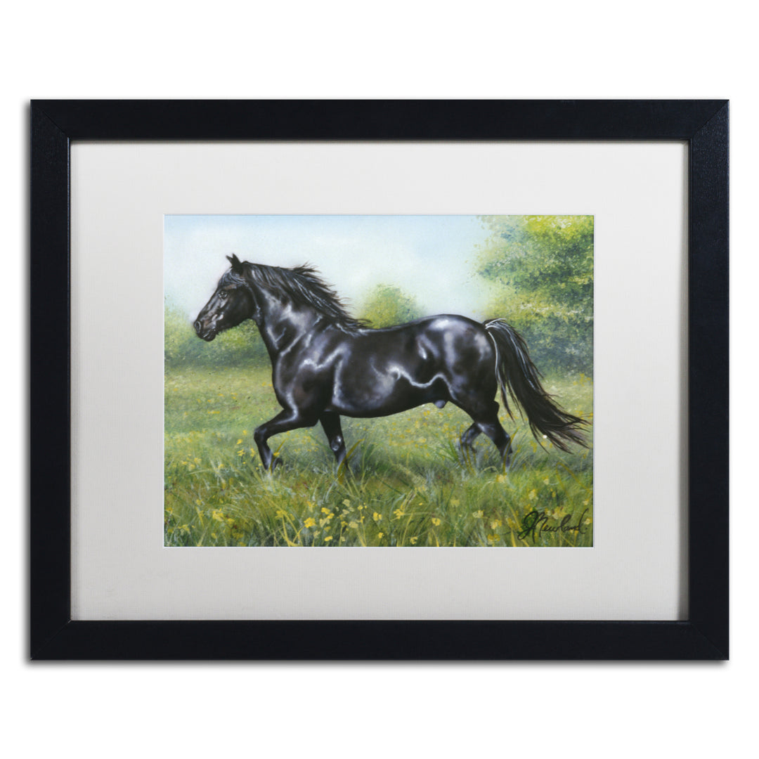 Jenny Newland Free Spirit Black Wooden Framed Art 18 x 22 Inches Image 1