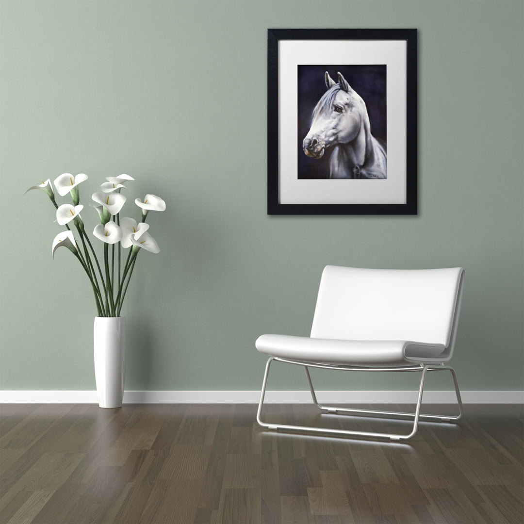Jenny Newland White Arabian Stallion Black Wooden Framed Art 18 x 22 Inches Image 2